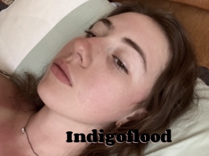 Indigoflood