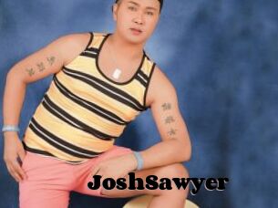 JoshSawyer