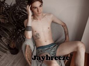 Jaybreeze