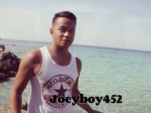 Joeyboy452