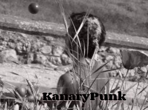 KanaryPunk