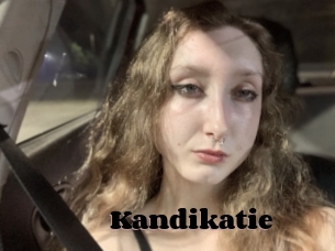 Kandikatie