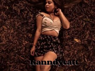 Kanndycatt
