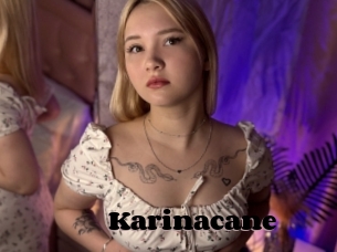 Karinacane