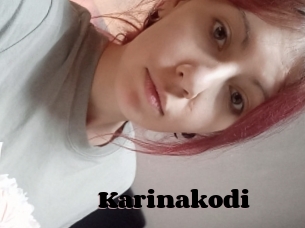 Karinakodi