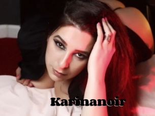 Karinanoir