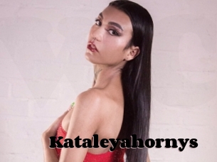 Kataleyahornys