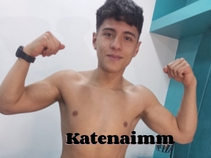 Katenaimm
