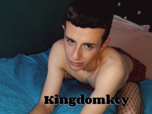 Kingdomkey