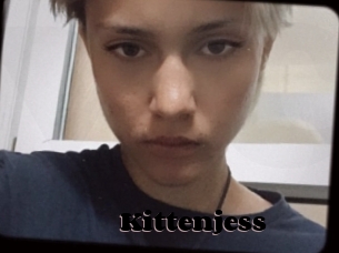 Kittenjess