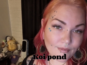 Koi_pond