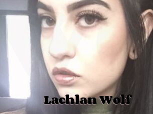Lachlan_Wolf