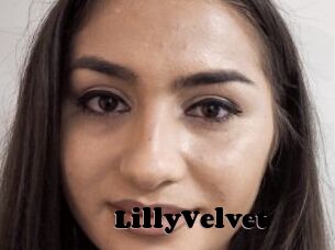 LillyVelvet