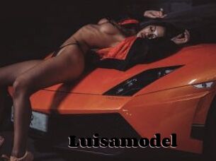 Luisamodel