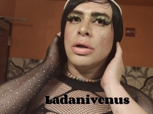 Ladanivenus