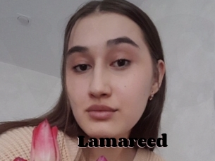 Lamareed