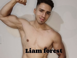 Liam_forest