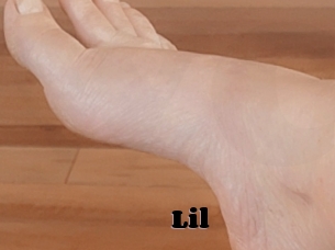 Lil