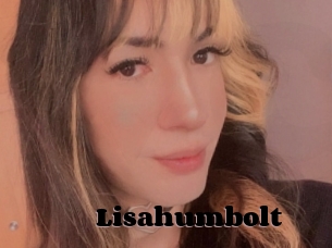 Lisahumbolt