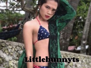 Littlebunnyts