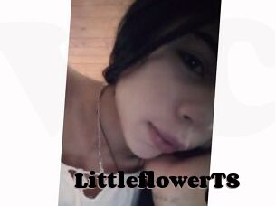LittleflowerTS