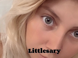 Littlesary