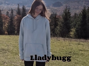Lladybugg