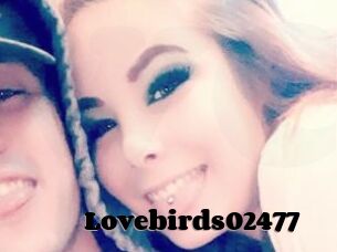 Lovebirds02477