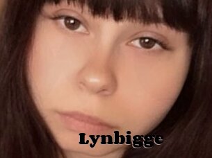 Lynbigge