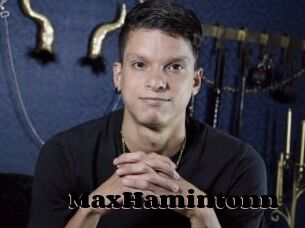 MaxHamintonn