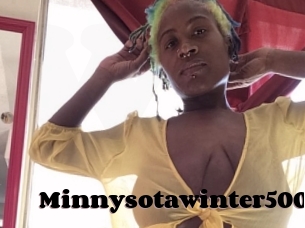 Minnysotawinter500