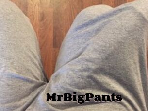 MrBigPants