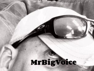 MrBigVoice