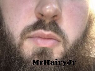 MrHairyJr