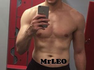 MrLEO