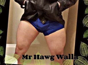 Mr_Hawg_Walla