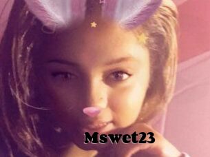 Mswet23