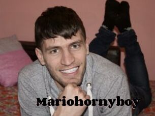 Mariohornyboy