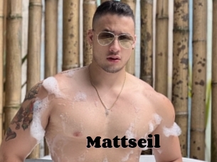Mattseil