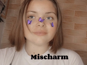 Mischarm