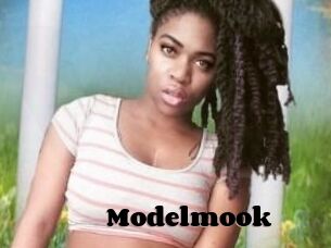 Modelmook