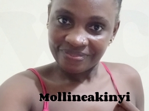 Mollineakinyi