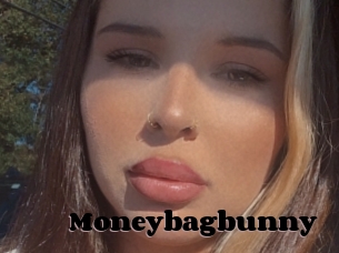 Moneybagbunny