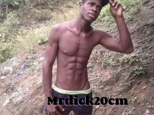Mrdick20cm