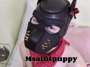 Msaintpuppy