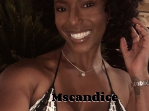Mscandice