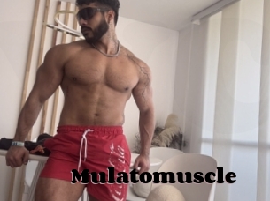 Mulatomuscle
