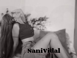 NaniVidal