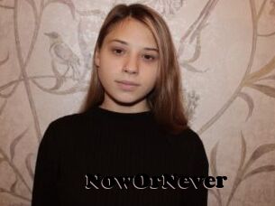 NowOrNever