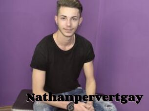 Nathanpervertgay